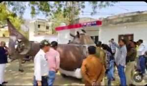 कबाड़ से जुगाड़..