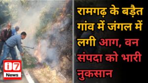 रामगढ़ के बड़ैत गांव में जंगल में लगी आग,